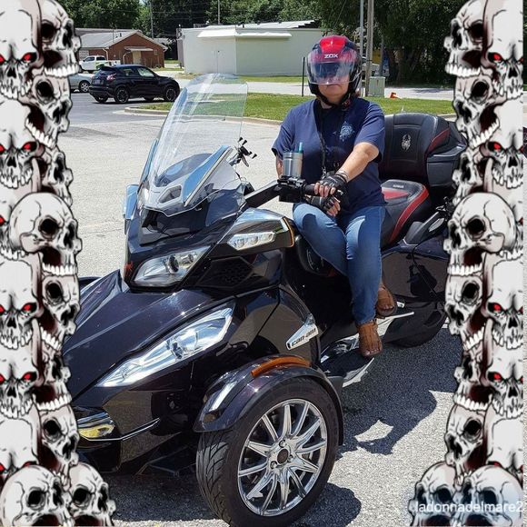 Meet your Posher, Gracie - Picture 1 of 1